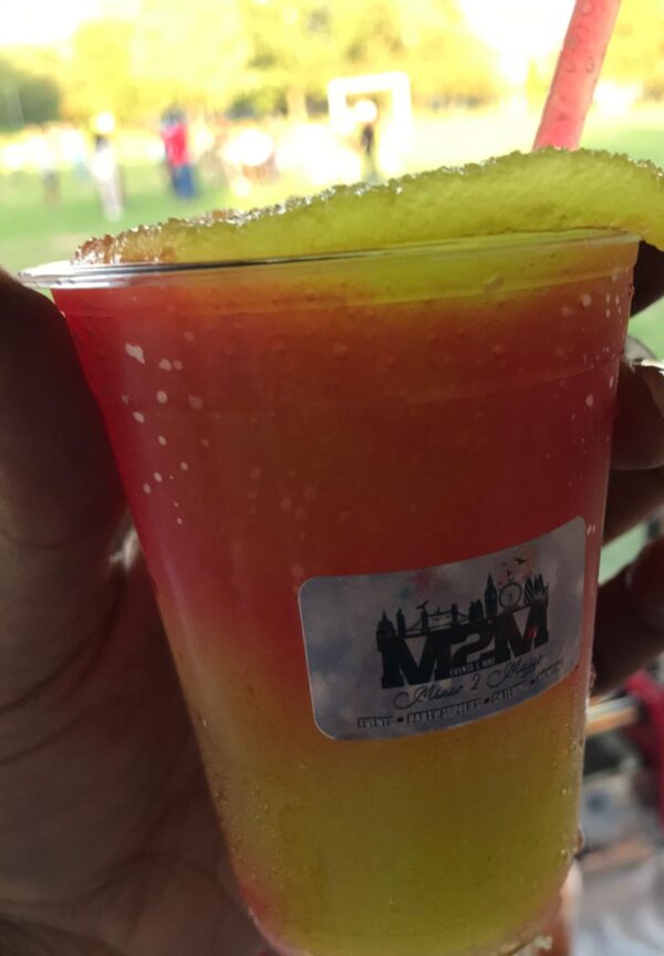 Dual Slush Machine - Image 2